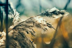 Professional Painters: One Way To Boost Your Marketing Message This Winter